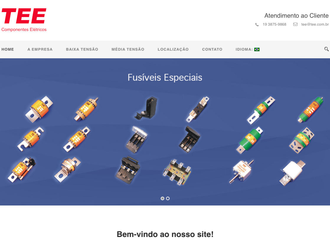 TEE Componentes Elétricos — Website